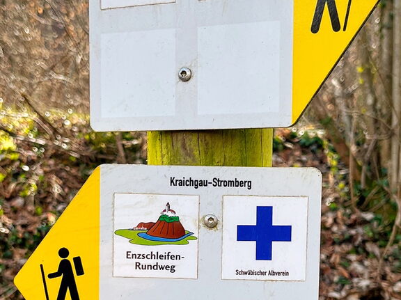 23-03-17 10-49-21 4881